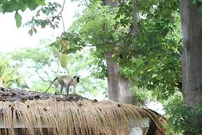Hotel Les Paletuviers