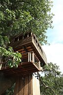 Hotel Les Paletuviers