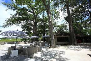 Hotel Les Paletuviers