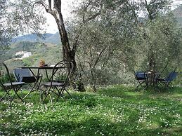 Villanova - Nature & Wellness