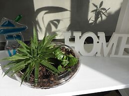 visitHOMES Faroe Islands