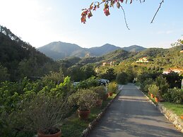 Villanova Apartments - Nature & Wellness