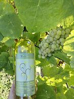 Villanova Apartments - Nature & Wellness