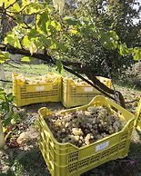 Villanova Apartments - Nature & Wellness