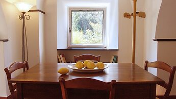 Villanova Apartments - Nature & Wellness