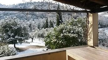 Agriturismo La Barca nel Bosco