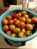 Casa Vacanze Mareggiata