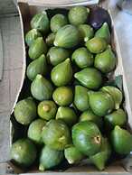 Casa Vacanze Mareggiata