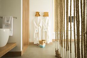 Aelia Wellness Retreat