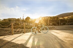 Aelia Wellness Retreat