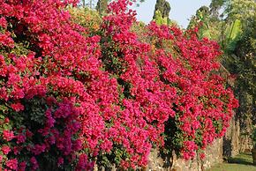 Las Casitas Tepoztlan