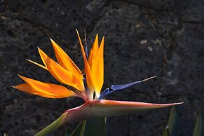 Las Casitas Tepoztlan