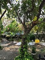 5 Bedroom Heritage Goan Villa