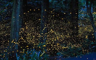 The One Boutique Hotel Sekinchan