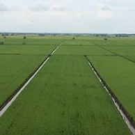 The One Boutique Hotel Sekinchan