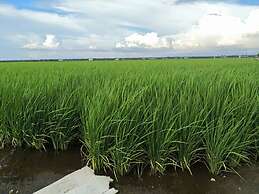 The One Boutique Hotel Sekinchan