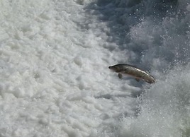 Sikfors Konferens & Fritidsby