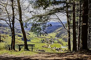 ElzLand Hotel Pfauen WELLNESS, SPA & VITALIS HOTEL