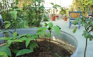 Bed & Chai Guest House