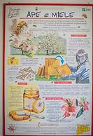 Agriturismo Trefrutti