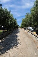 Residence Conchiglia San Giovanni