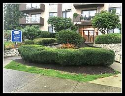 Pelicanstay in Burnaby Lake