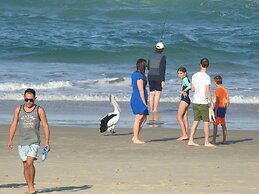 Albatross North Apartments