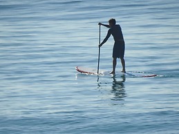 Albatross North Apartments