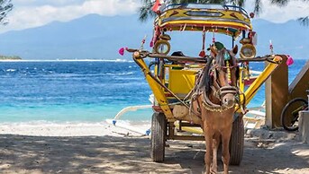 Bleu Verde i am colors