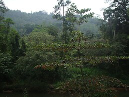 Vini Villa