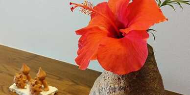 Hotel Condominium Doka Doka