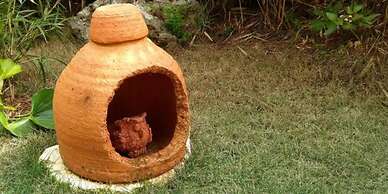 Hotel Condominium Doka Doka