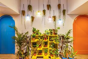 goSTOPS Jaipur - Hostel