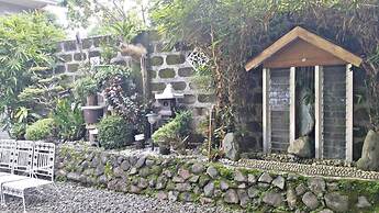 V House