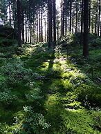 Anfasteröd Gårdsvik