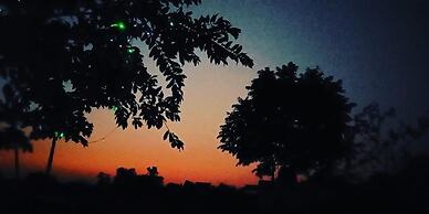 Tam Coc Craft Homestay