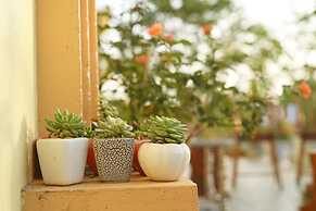 Tam Coc Craft Homestay