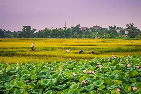Tam Coc Craft Homestay