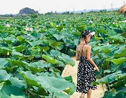 Tam Coc Craft Homestay