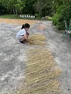 Fairy Story Ecological Farm B&B