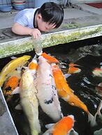 Fairy Story Ecological Farm B&B