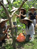 Fairy Story Ecological Farm B&B