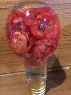 Fairy Story Ecological Farm B&B