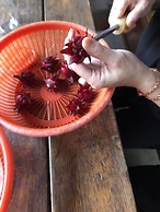 Fairy Story Ecological Farm B&B