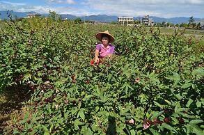 Fairy Story Ecological Farm B&B
