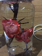 Fairy Story Ecological Farm B&B