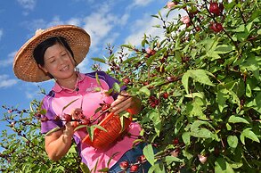 Fairy Story Ecological Farm B&B