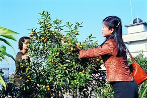 Fairy Story Ecological Farm B&B