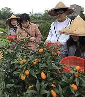 Fairy Story Ecological Farm B&B