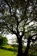 Country House Barone d’Asolo